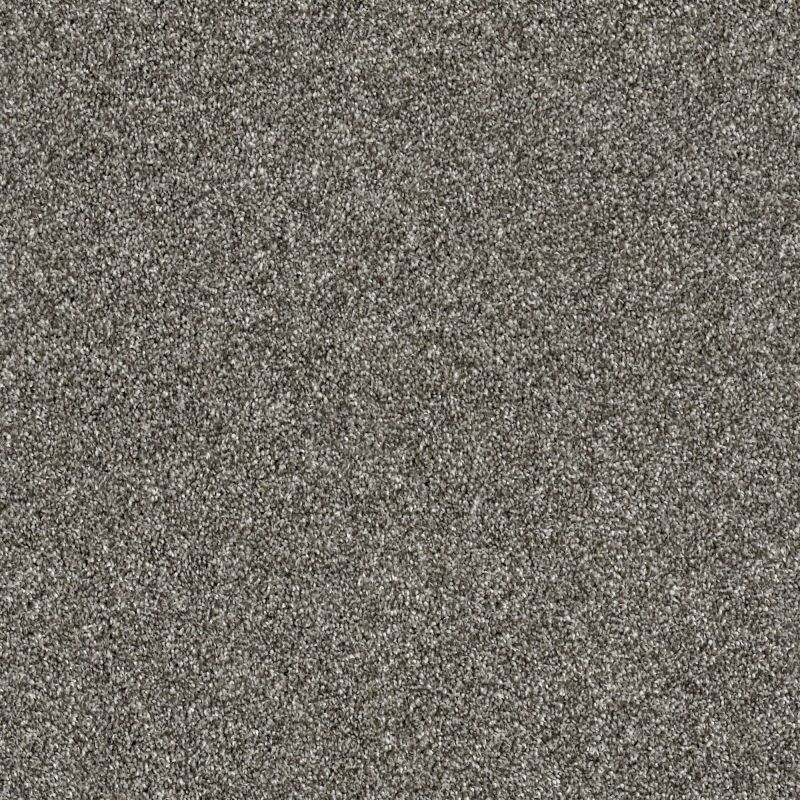 Shaw Floors Value Collections Of Course We Can III 15' Net Ashes