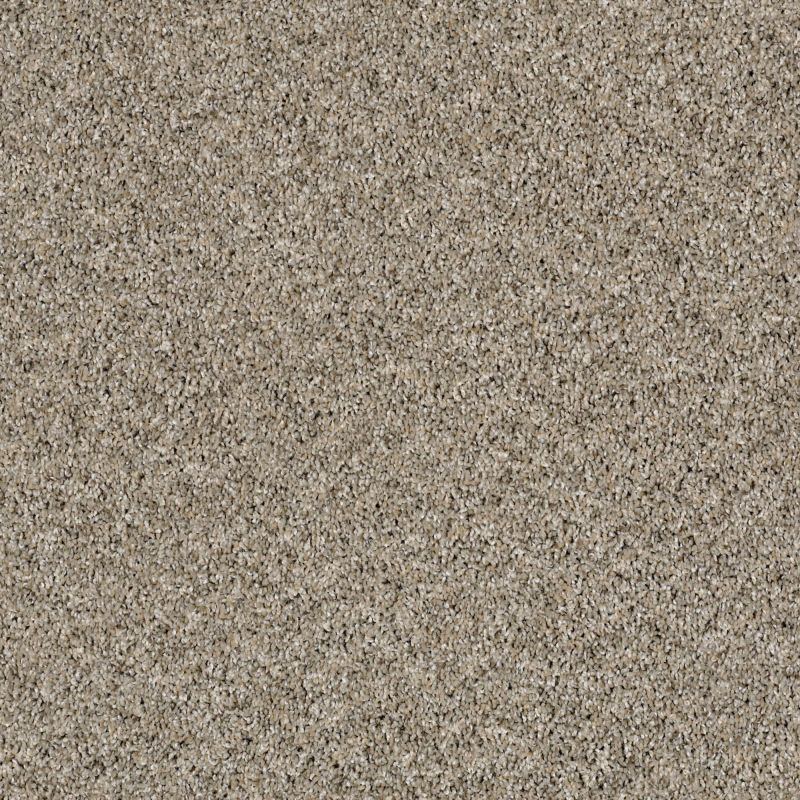 Shaw Floors Value Collections Frosting Net Echo