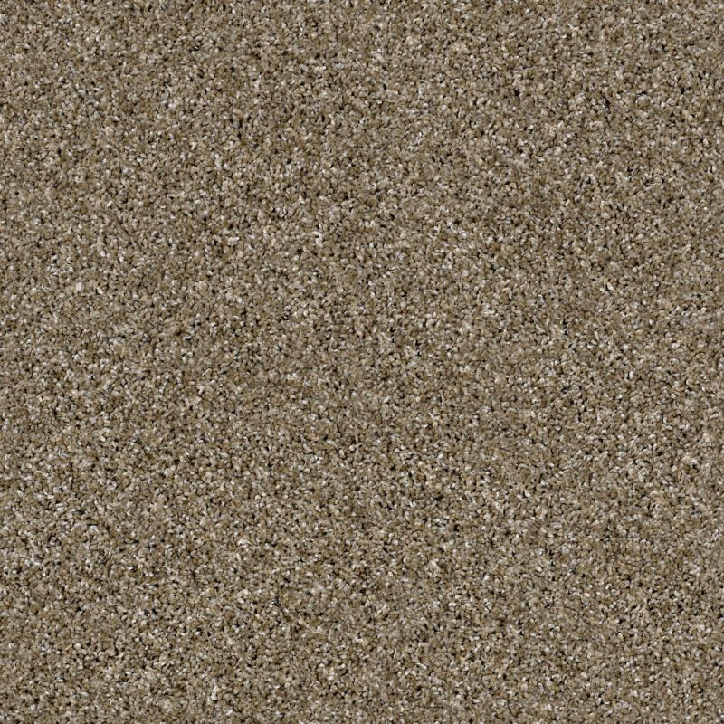Shaw Floors Value Collections Frosting Net Dirt Road