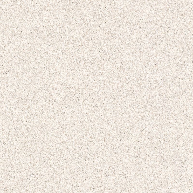 Shaw Floors Value Collections Palette Net Stucco