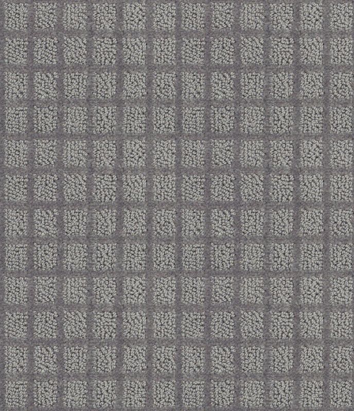 Shaw Floors Value Collections Blocking Net Ub Iron