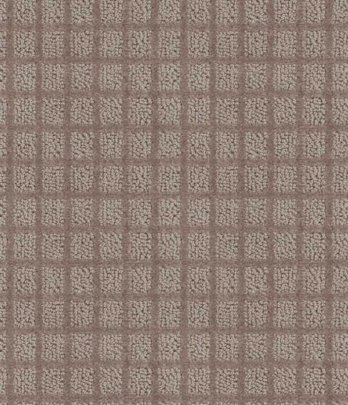 Shaw Floors Value Collections Blocking Net Ub Sandalwood