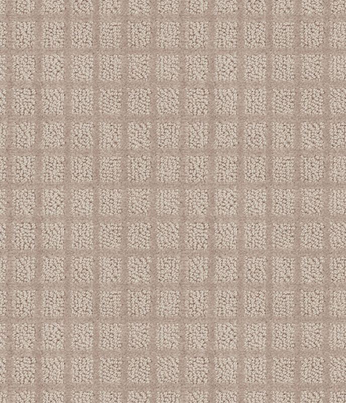 Shaw Floors Value Collections Blocking Net Ub Walnut