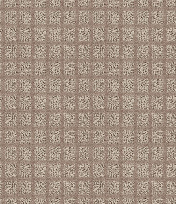 Shaw Floors Value Collections Blocking Net Ub Bronze