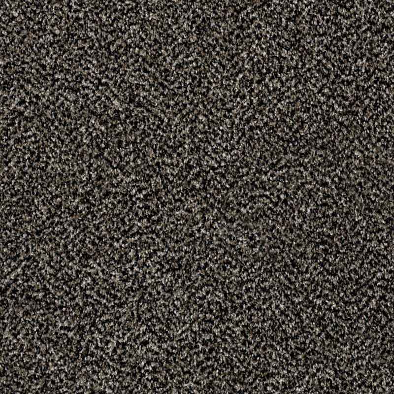 Shaw Floors Work Your Magic Black Granite