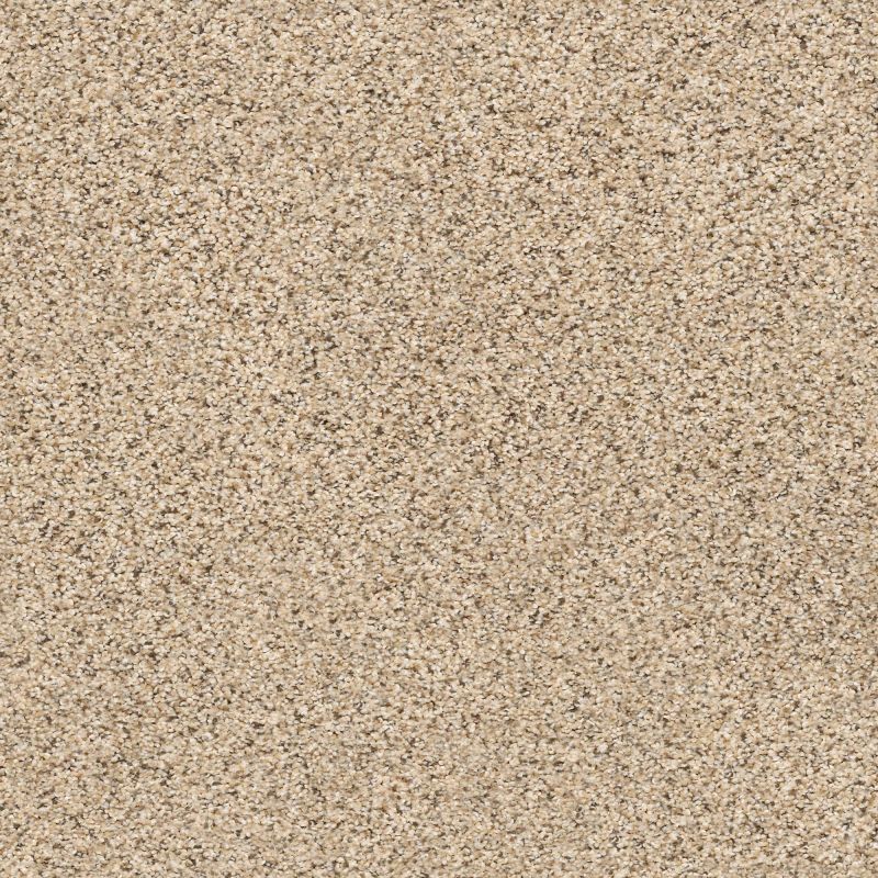 Shaw Floors Foundations Elemental Mix III Sand Castle