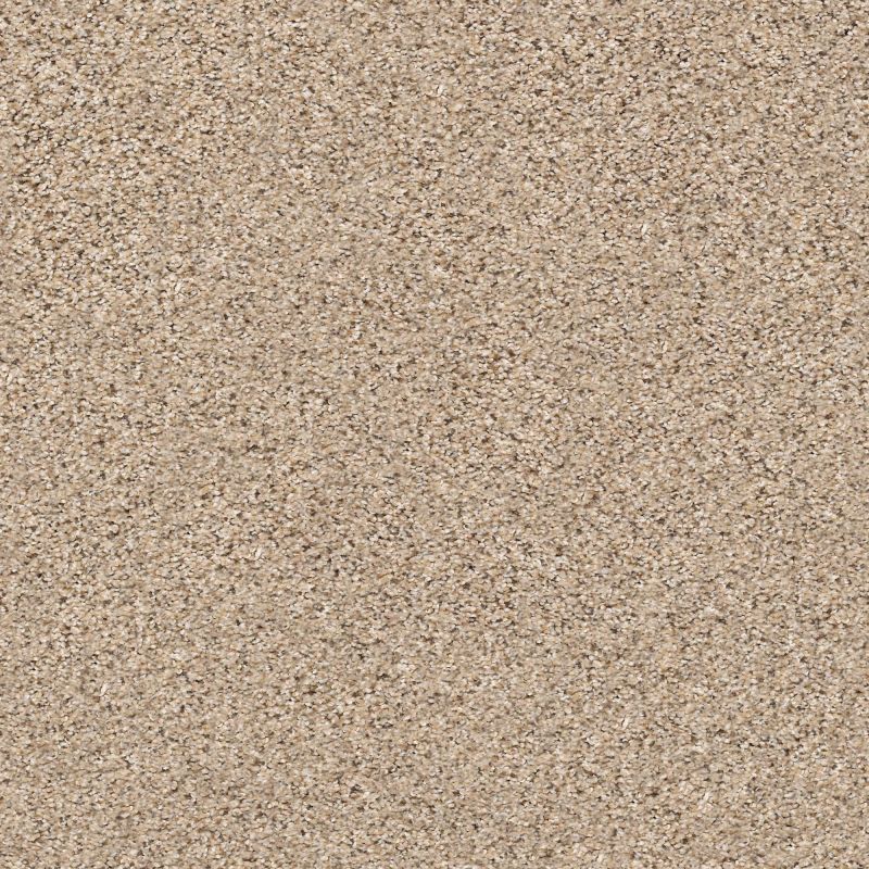 Shaw Floors Foundations Elemental Mix III Twine