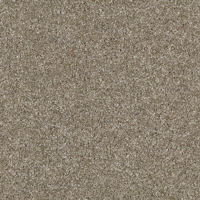Shaw Floors Value Collections Luminous Net Granola