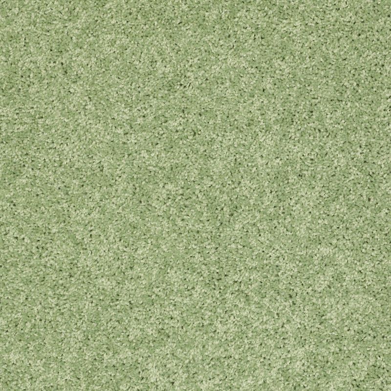 Shaw Floors Value Collections Kid Crossing Net Limeade