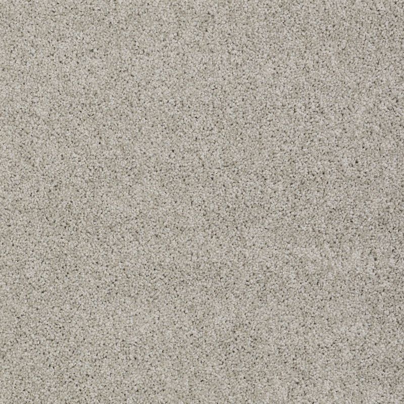 Shaw Floors Value Collections My Choice I Net Glaze