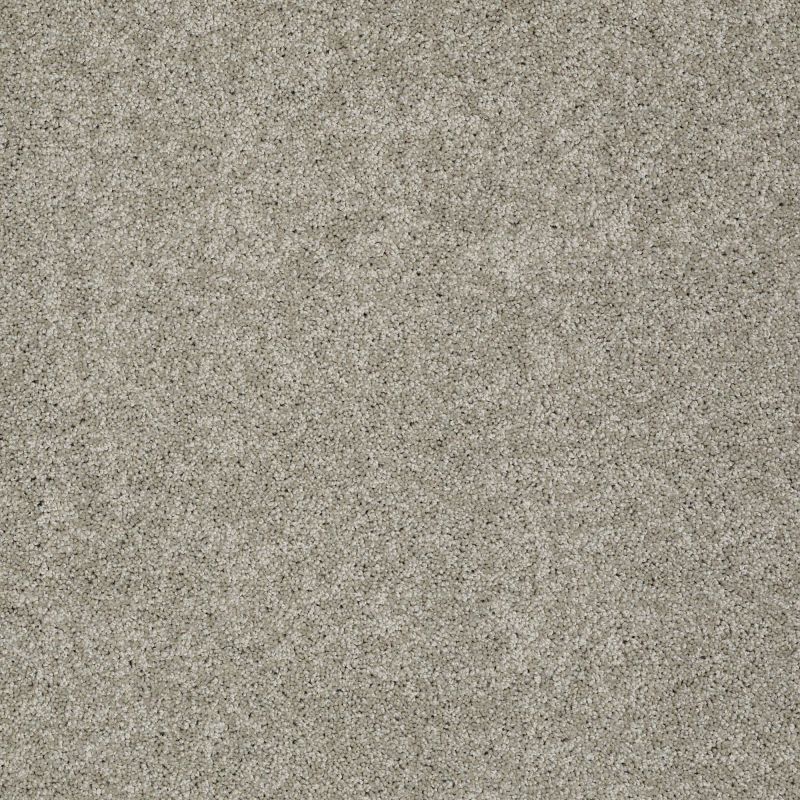 Shaw Floors Value Collections My Choice I Net Rocky Coast
