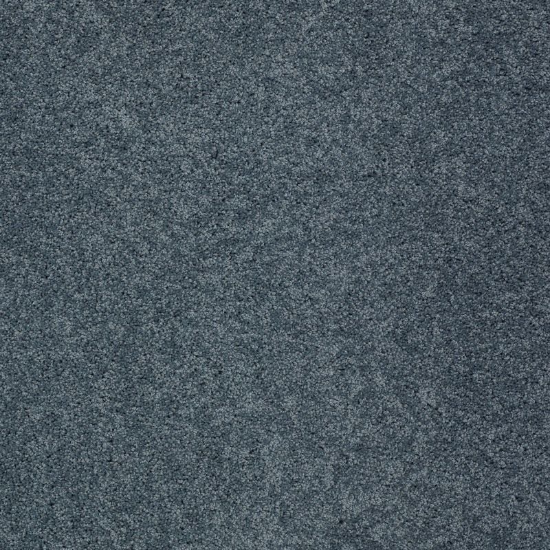 Shaw Floors Value Collections My Choice II Net Old Blue Eyes