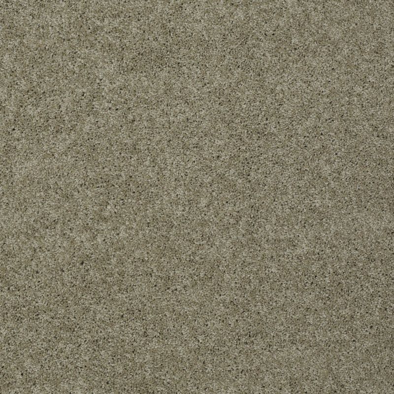 Shaw Floors Value Collections My Choice III Net Smooth Slate