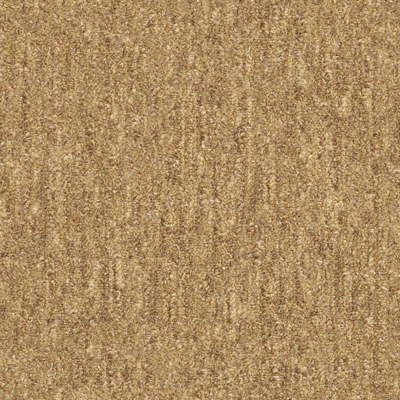 Shaw Floors Foundations Natural Balance 15 Sisal