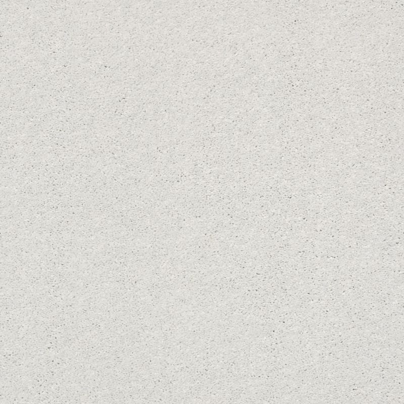 Shaw Floors Pet Perfect Plus Basic Rules Mist