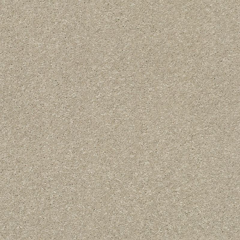 Shaw Floors Pet Perfect Plus Basic Rules Vicuna