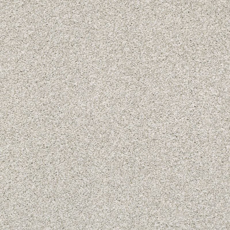 Shaw Floors Pet Perfect Plus Just A Hint II Creamery