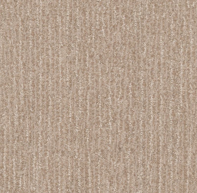 Shaw Floors Pet Perfect Plus Outside The Lines Toast
