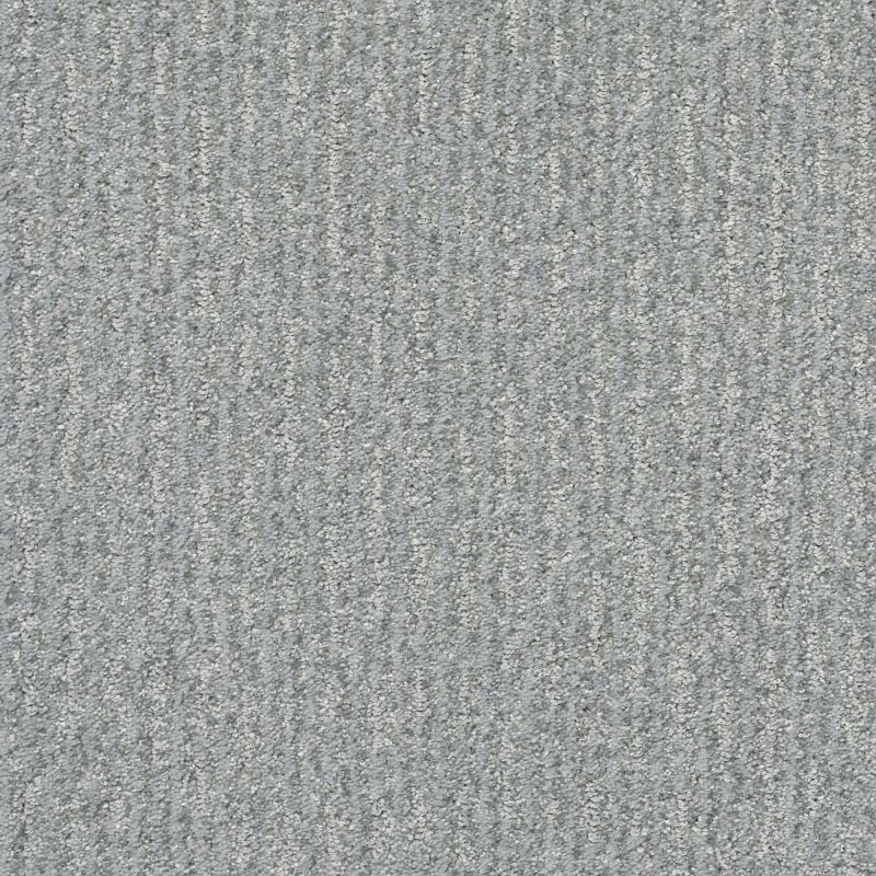Shaw Floors Pet Perfect Plus Outside The Lines Peaceful
