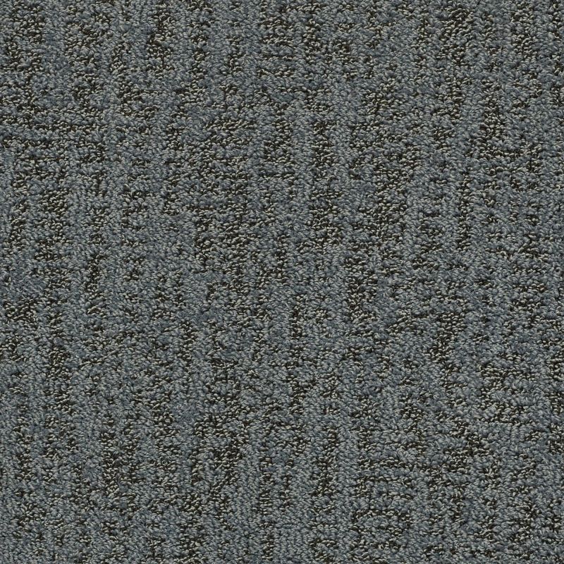 Shaw Floors Pet Perfect Plus Obvious Choice Steel