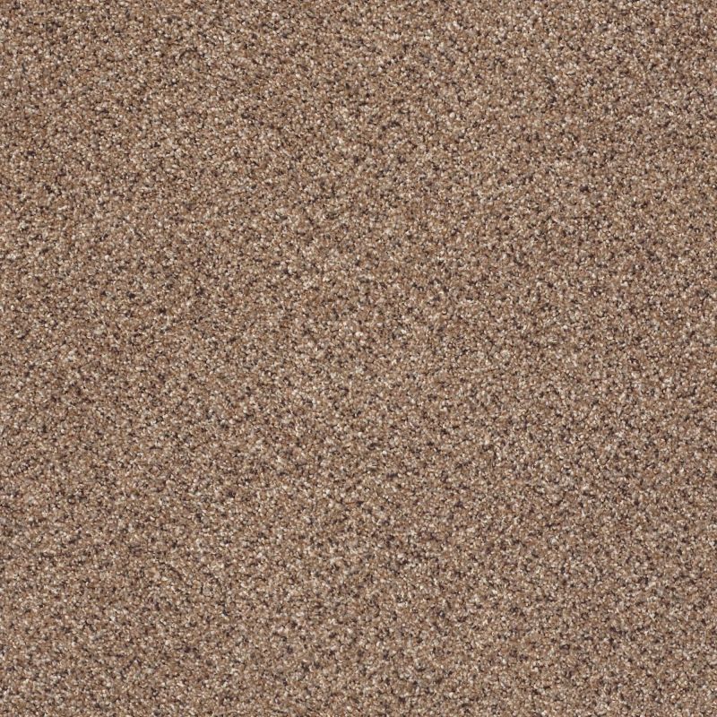Shaw Floors Value Collections Gold Texture Accents Net Pegasus