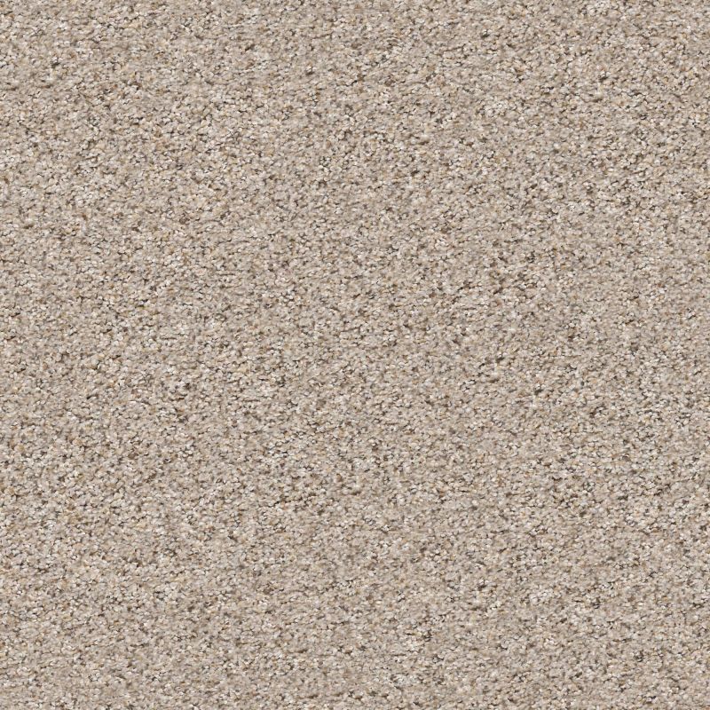 Shaw Floors Value Collections Mix It Up Net Pencil Sketch