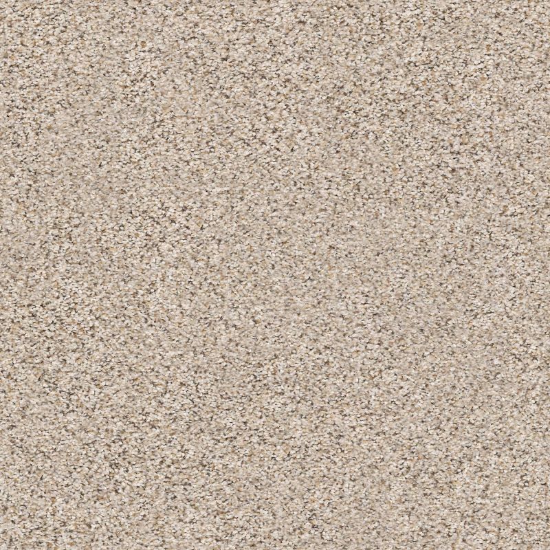 Shaw Floors Foundations Elemental Mix II Net Gentle Rain