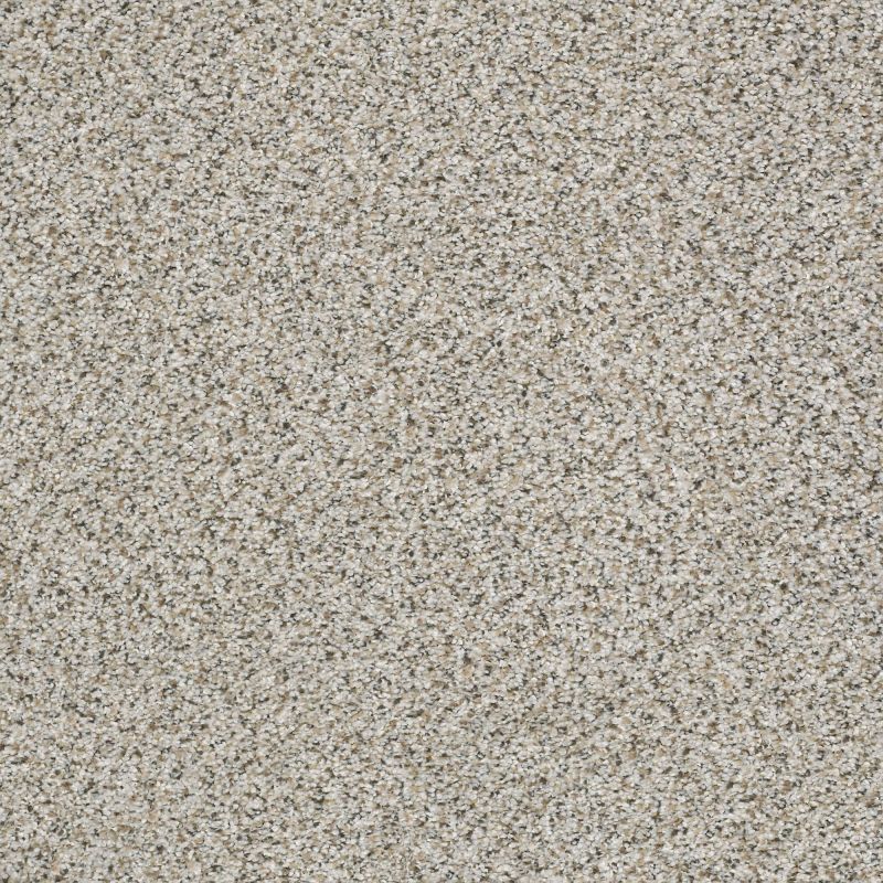 Shaw Floors Foundations Elemental Mix II Net Silver Lining