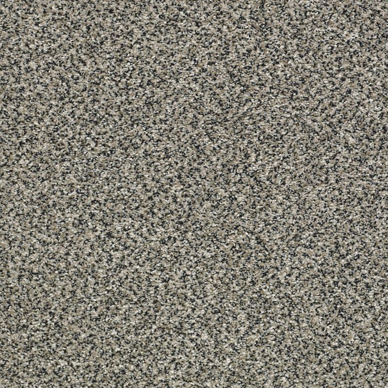 Shaw Floors Pet Perfect Plus Perpetual I Shadow