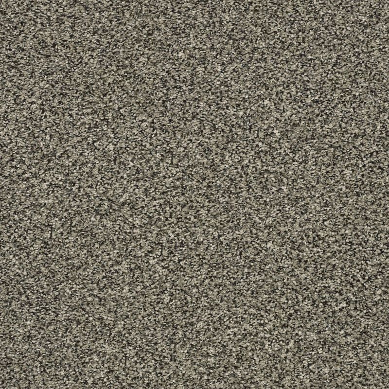Shaw Floors Pet Perfect Plus Perpetual I Portobello
