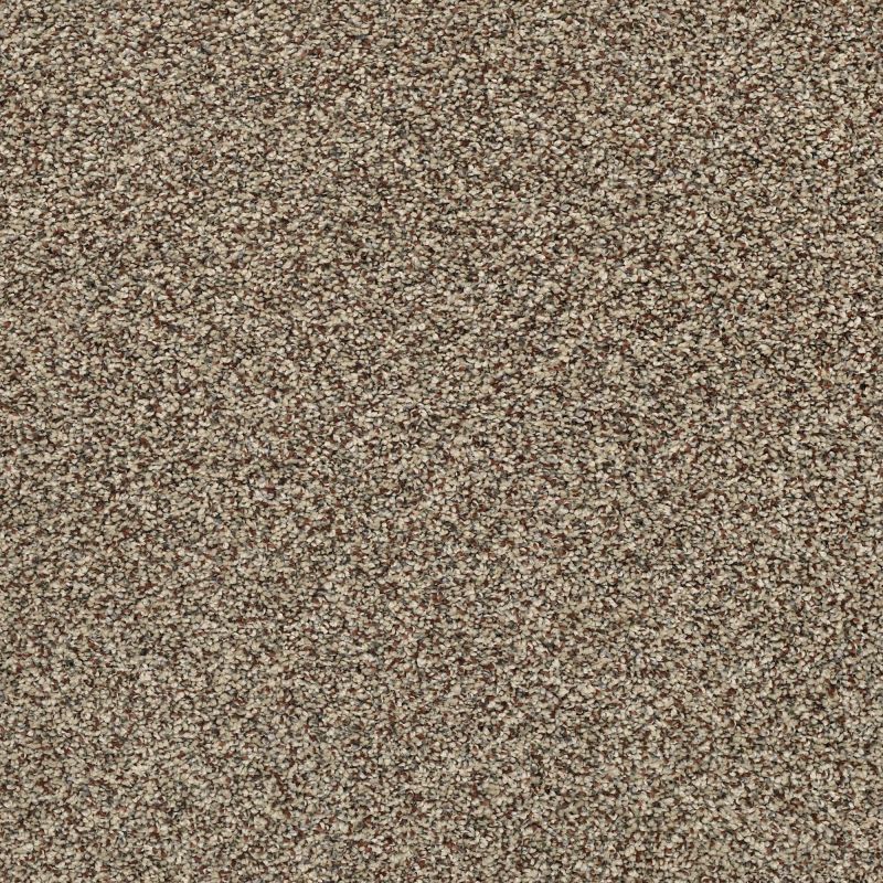 Shaw Floors Pet Perfect Plus Perpetual II Freckles