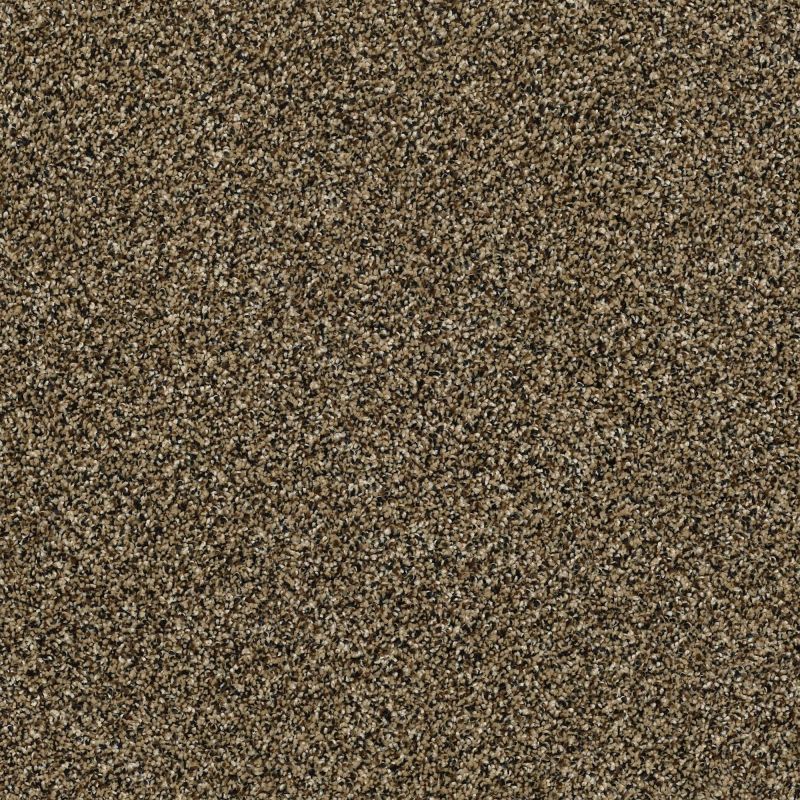 Shaw Floors Pet Perfect Plus Perpetual II Gold Rush