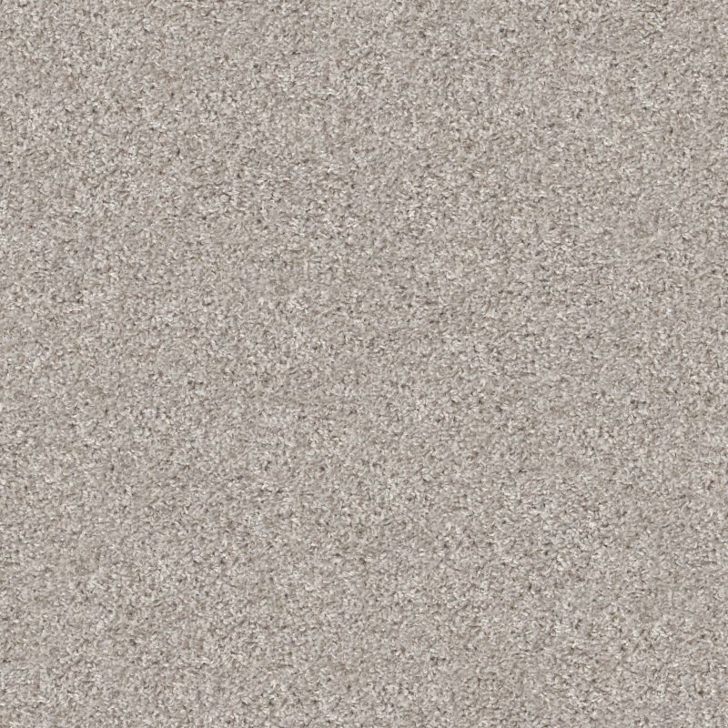 Shaw Floors Shake It Up (t) Baltic Stone