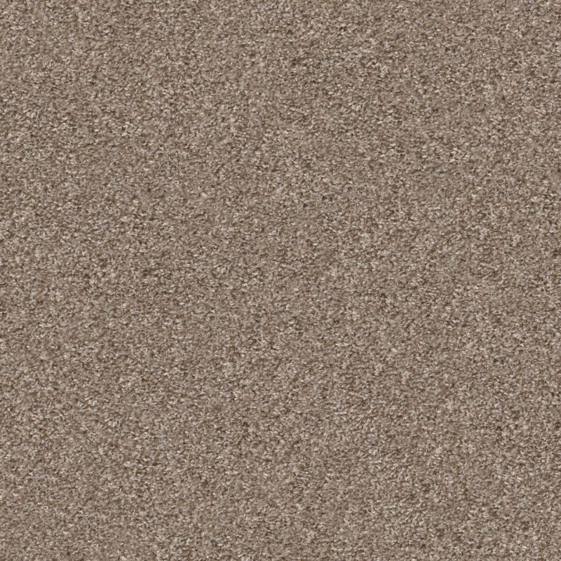 Shaw Floors Shake It Up (t) Beachcomber