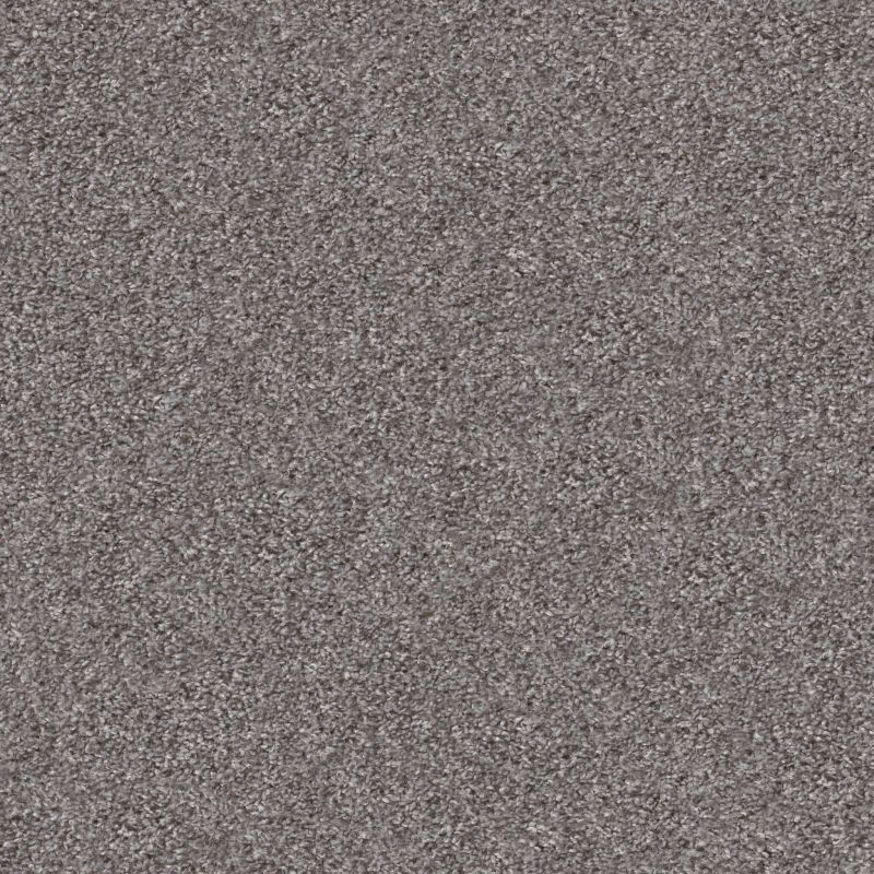 Shaw Floors Shake It Up (t) Silversmith