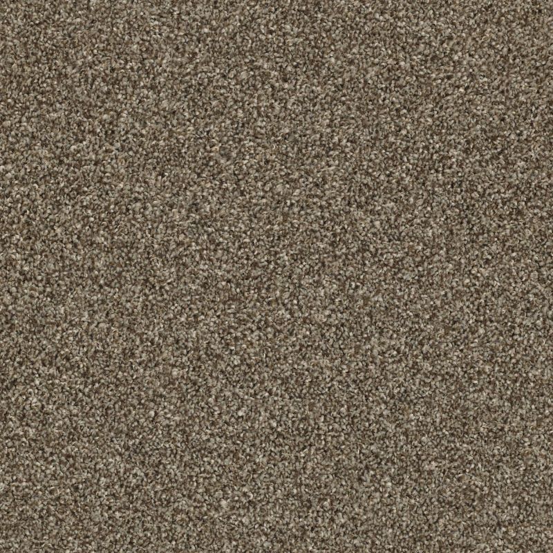 Shaw Floors Shake It Up (t) Roasted Coffee