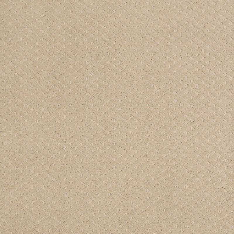 Shaw Floors Foundations Infallible Instinct Soft Honey