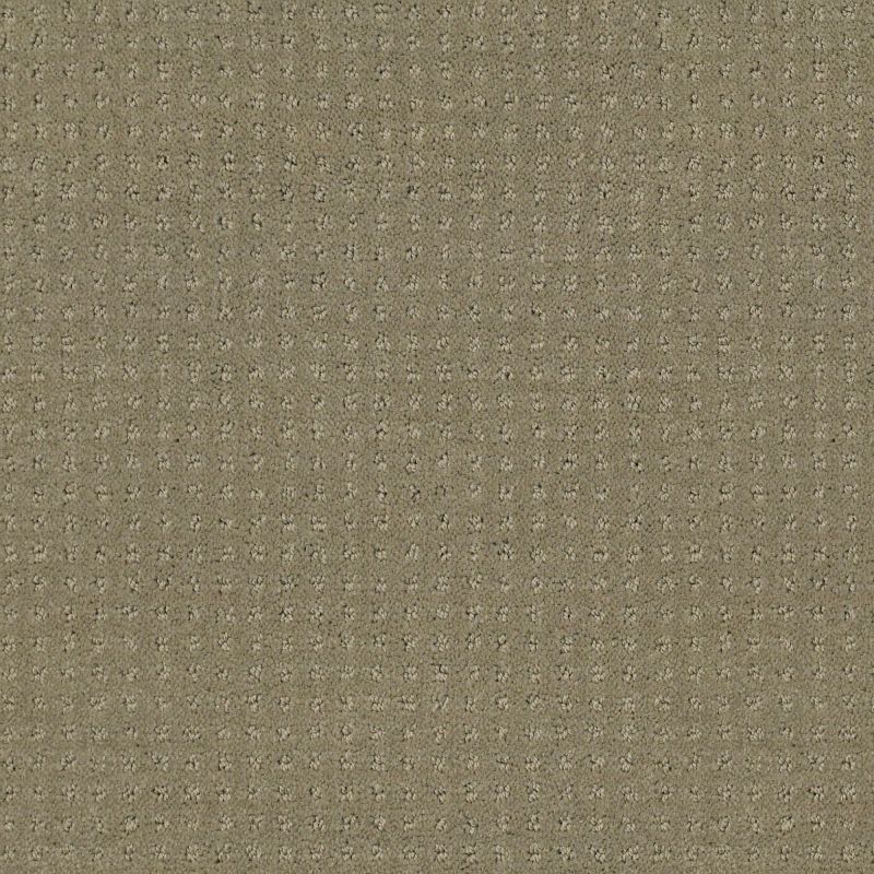 Shaw Floors Foundations Alluring Disposition Mocha