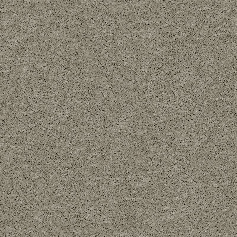 Shaw Floors Foundations Keen Senses I Net Slate