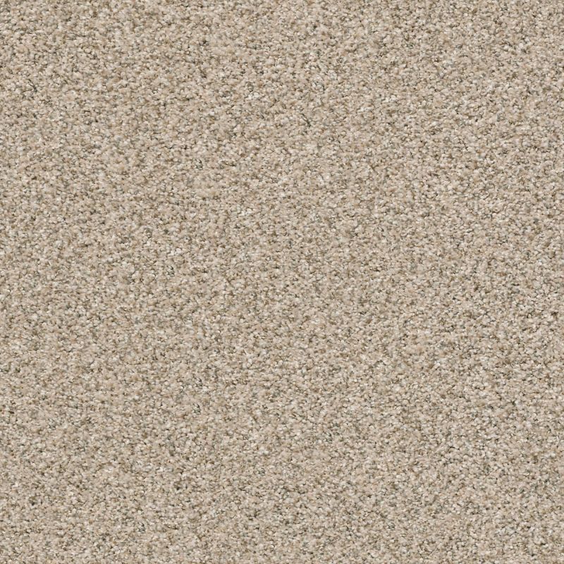 Shaw Floors Foundations Make It Work Net Sands Of Time
