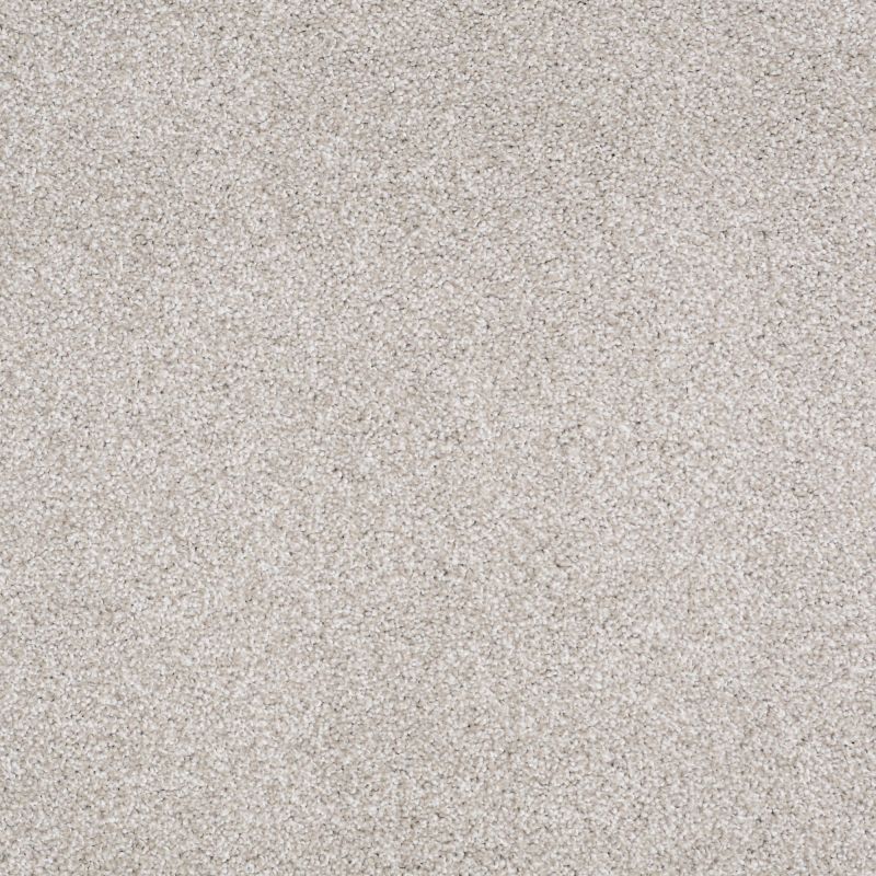 Shaw Floors Foundations Always Ready II Net Studio Taupe