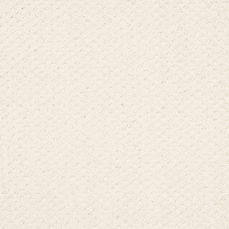 Shaw Floors Foundations Infallible Instinct Net Crisp Linen