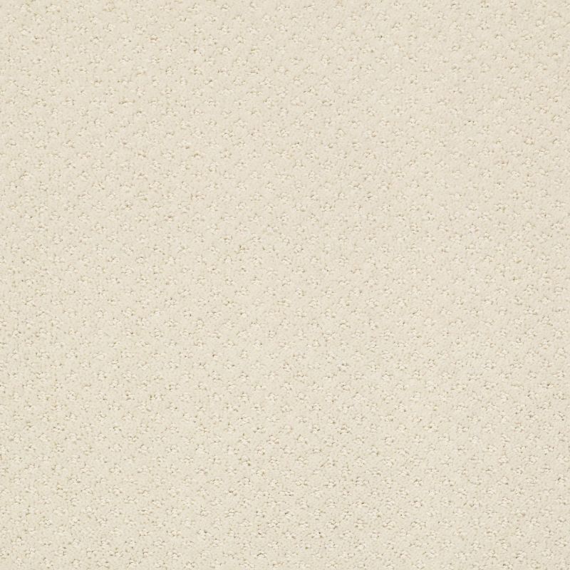 Shaw Floors Foundations Infallible Instinct Net Alabaster