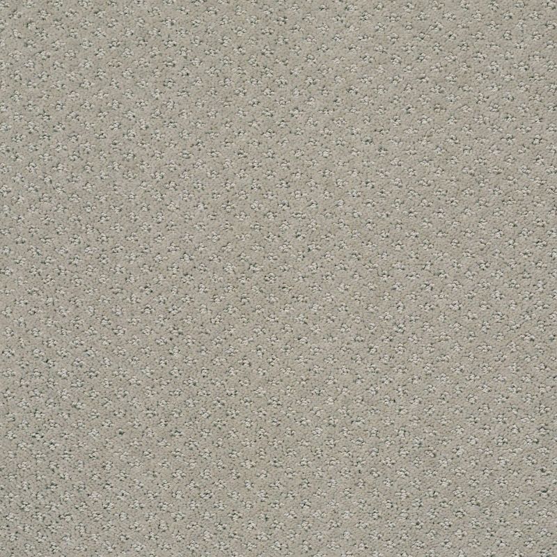Shaw Floors Foundations Infallible Instinct Net Silhouette