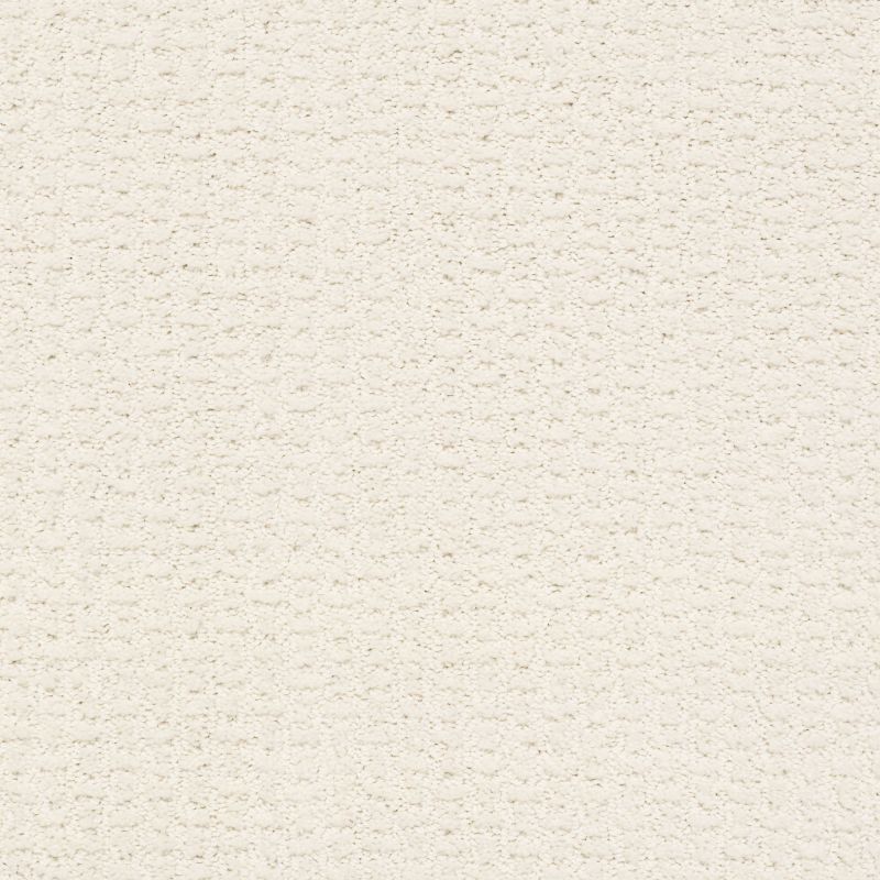 Shaw Floors Foundations Complete Control Net Crisp Linen