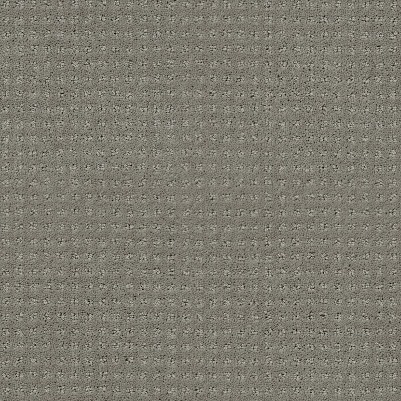 Shaw Floors Foundations Perpetual Move Net Slate