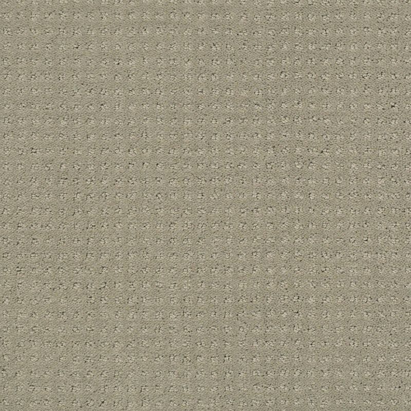 Shaw Floors Foundations Perpetual Move Net Lady In Gray