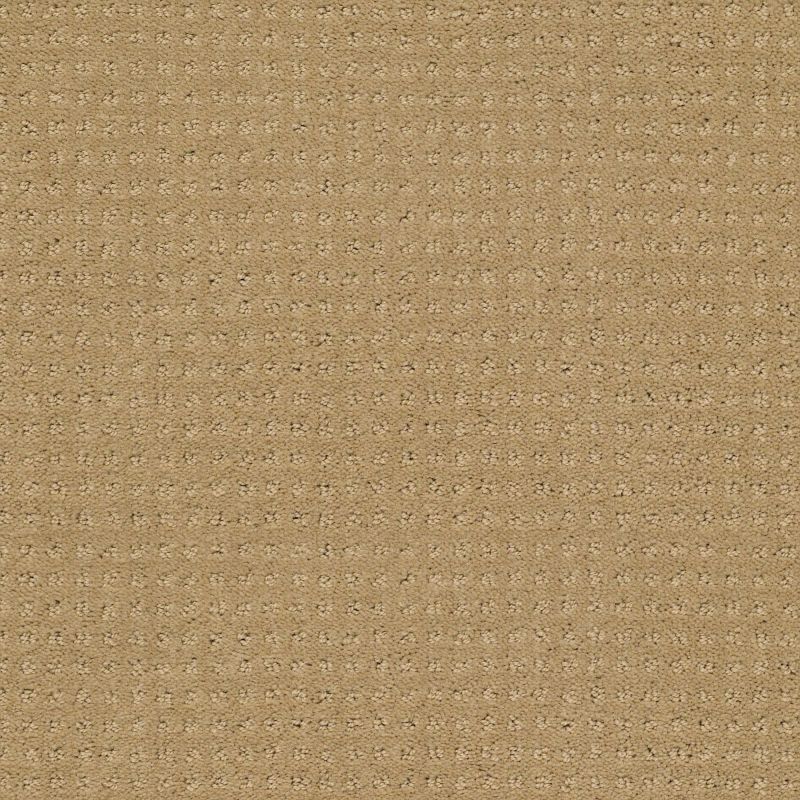 Shaw Floors Foundations Perpetual Move Net Warmth