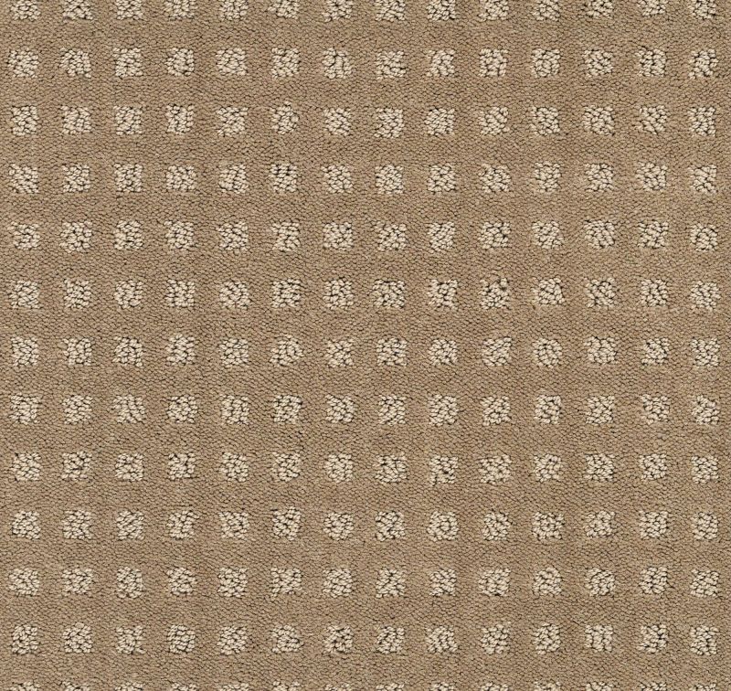 Shaw Floors Foundations Alluring Disposition Net Grounded