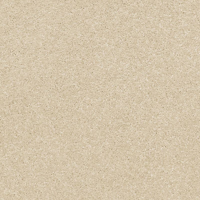 Shaw Floors Pet Perfect Plus Basic Rules Net Eggshell